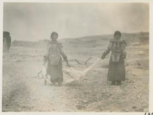 Image of Swan carried by Eskimo [Inuit] girls